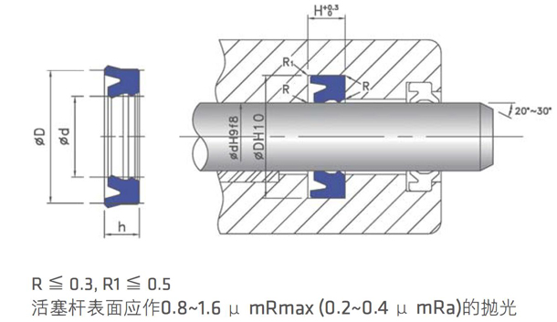 DZ活塞桿用密封圈D-3安裝圖