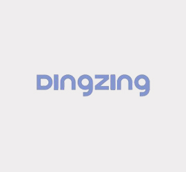 DingZing DZ油封